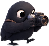 Mena crow holding a camera